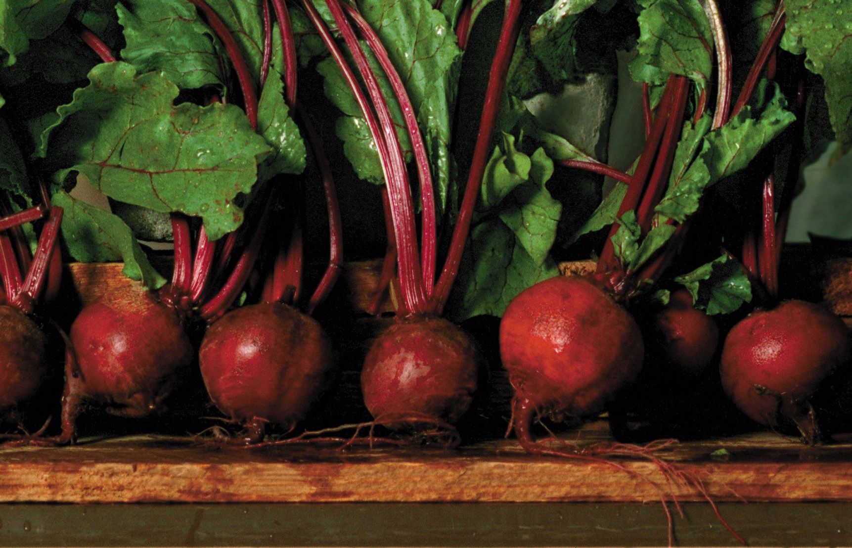 The key to sexual arousal is beets The Seattle Times