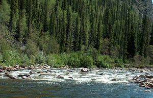 The “rock garden” section of the Charley River at the Yukon-Charley Rivers National Preserve. (Photo courtesy National Park Service/TNS)
