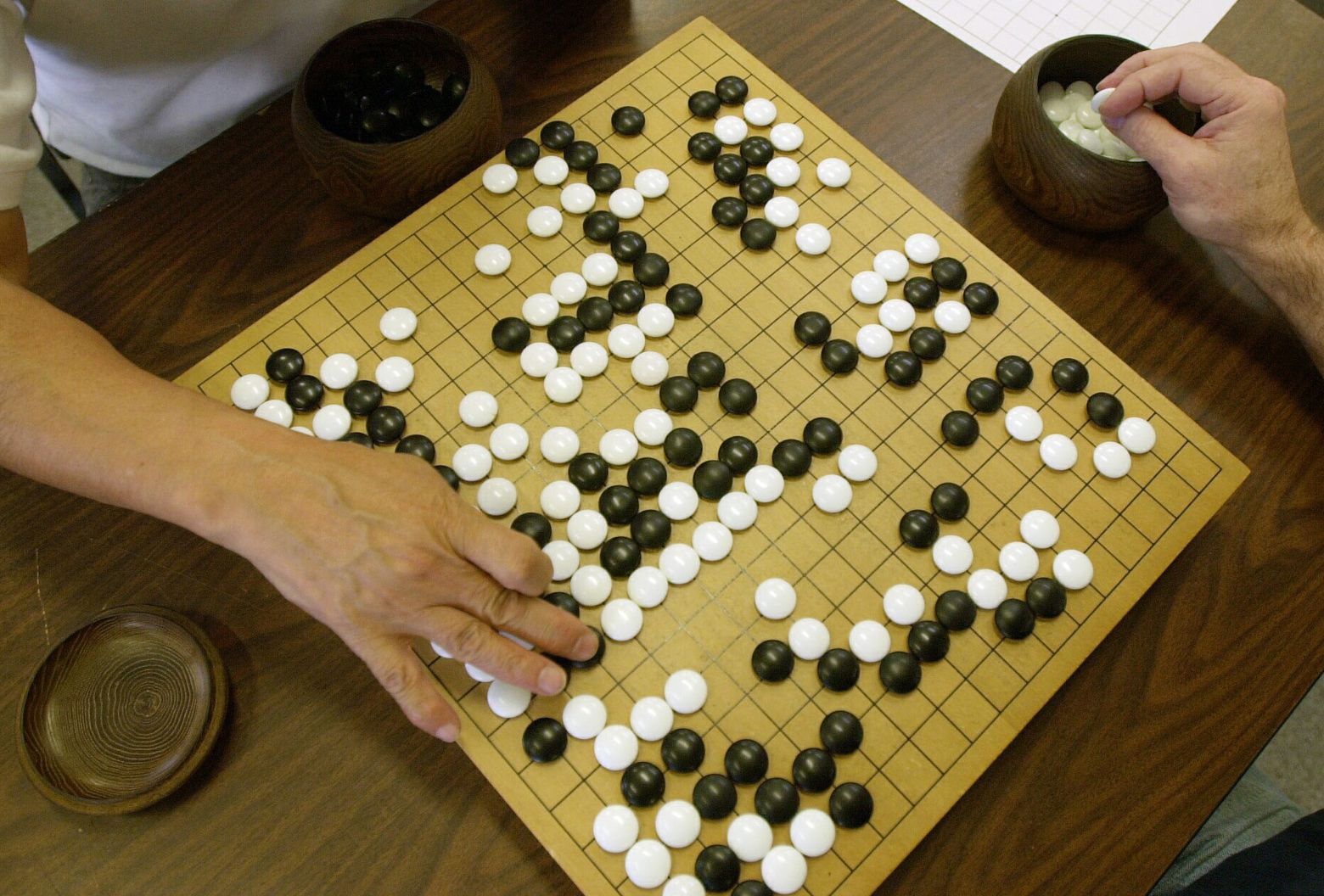 A new computer program taught itself how to play chess, go and