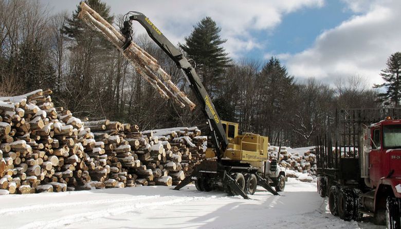 Lumberjack Retreat, SNOWY PINE TAR