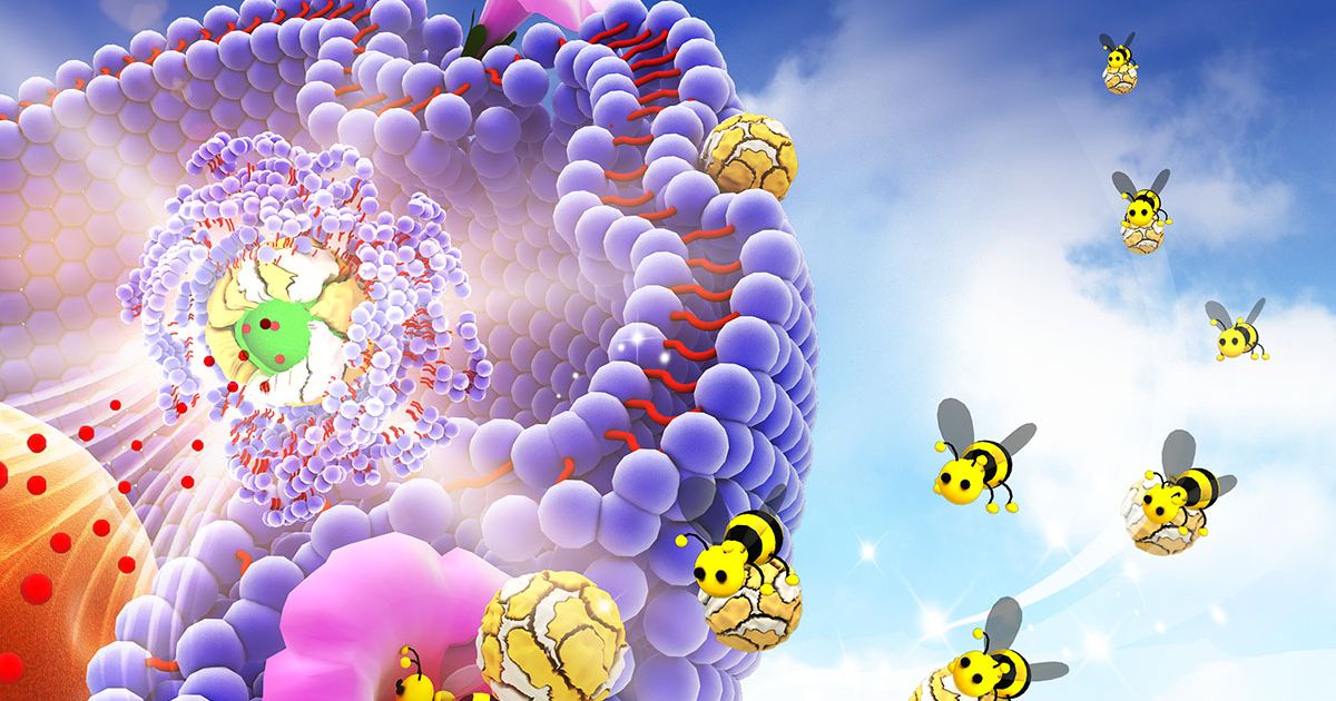 Natural protein cage helps target cancer drug delivery The Seattle Times