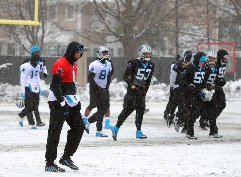 Panthers vs. Cardinals: N.F.C. Championship Highlights - The New