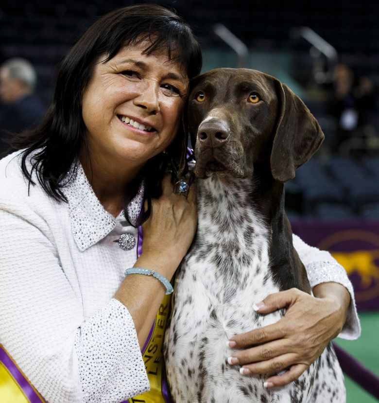 Local dog wins award at Westminster, Nvdaily