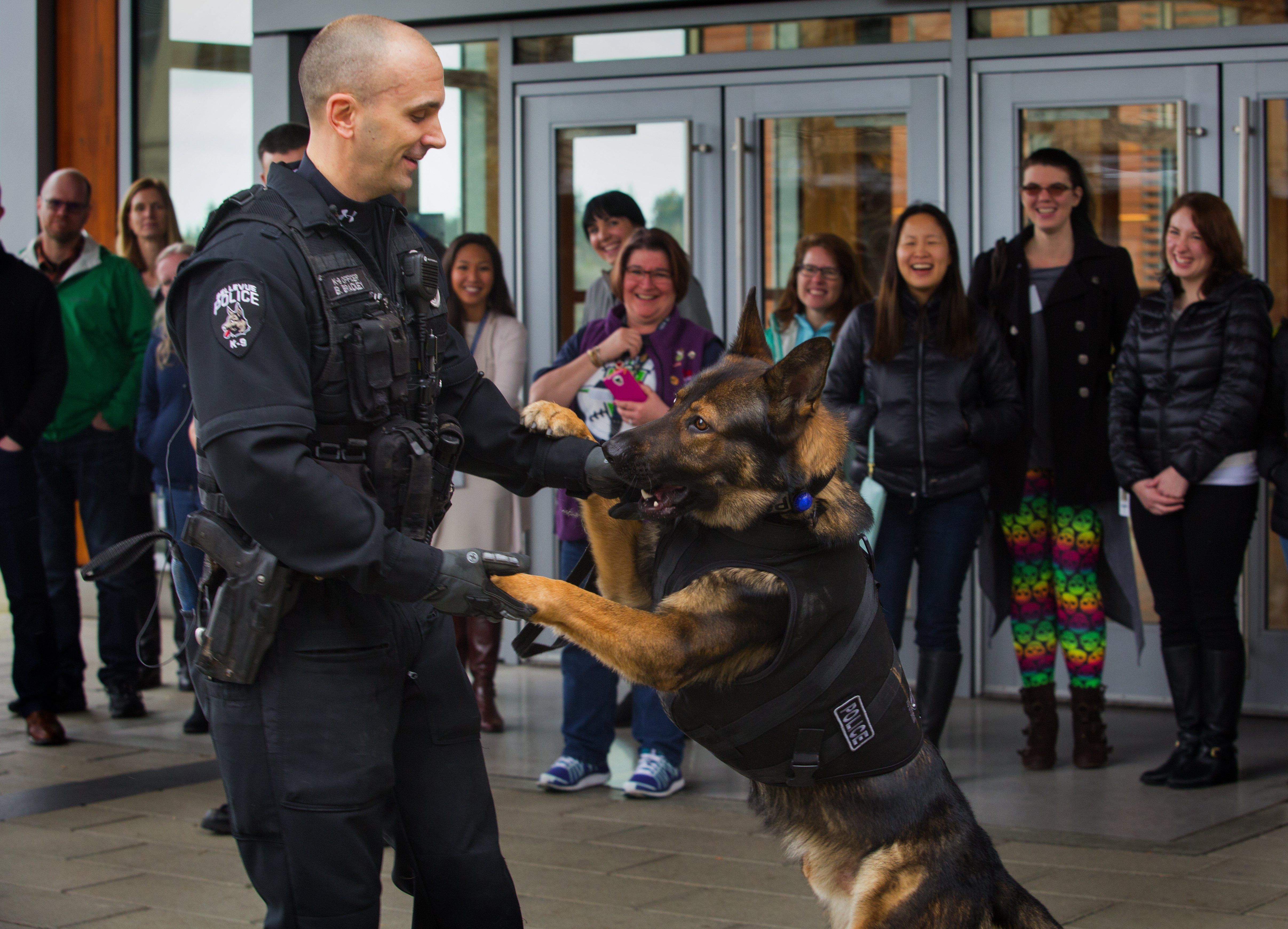 K9 clearance unit jacket