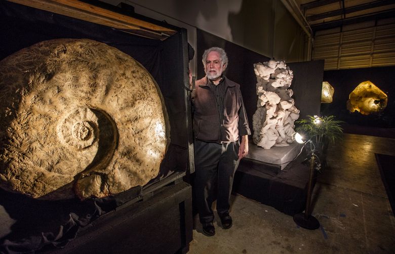 Richard Berger stands with a few of the many large pieces in his collection. At left is an Ammonite fossil mollusk found in Northern Mexico, one of the three largest in the world.  (Steve Ringman / The Seattle Times)