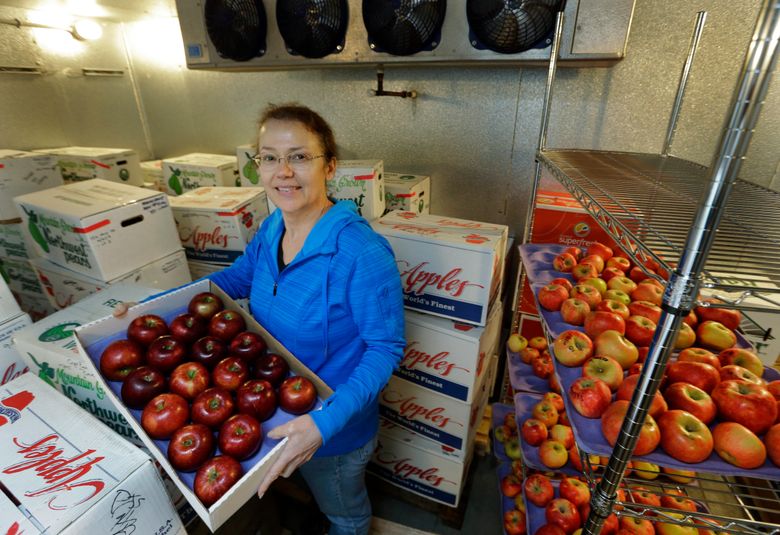 Washington Apple Growers Sink Their Teeth Into The New Cosmic Crisp : The  Salt : NPR