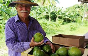 Mmm, mmm, Maui: Food and sipping tours make island a taster’s paradise ...