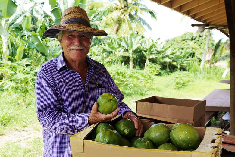 ONO Organic Farms, Maui, Hawaii - Tropical Fruit, Coffee, Local