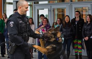 K9 Officer Bruno gets bulletproof protective vest