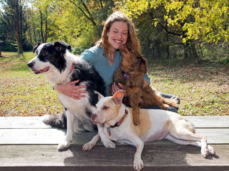 Animal Planet explores ASPCA program for second chance dogs | The Seattle  Times