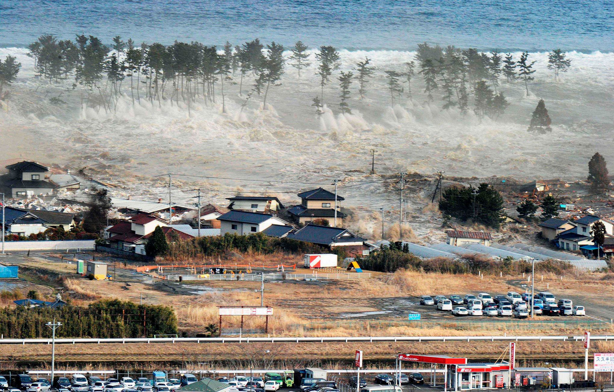 Japan on earthquake and tsunami alert after SEVEN giant deep-sea fish wash  up dead, World, News