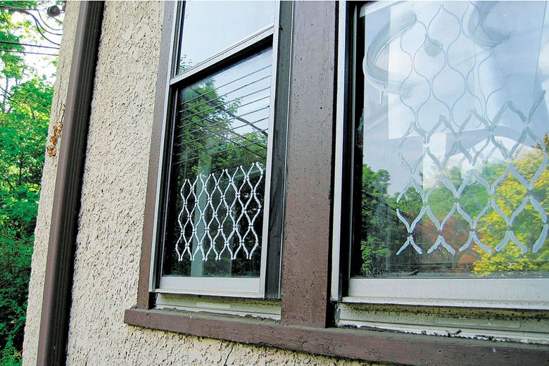 Are your windows killing birds? Here&rsquo;s how to prevent collisions 