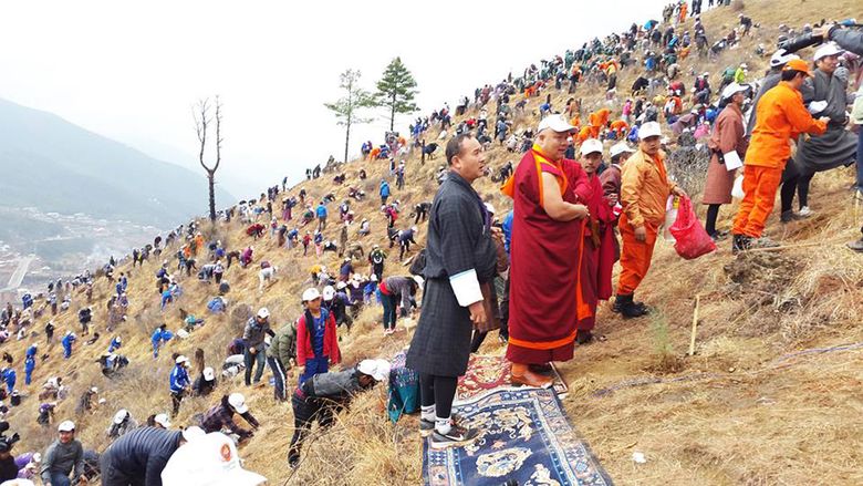 Bhutan celebrates royal baby by planting 108,000 trees | The Seattle Times