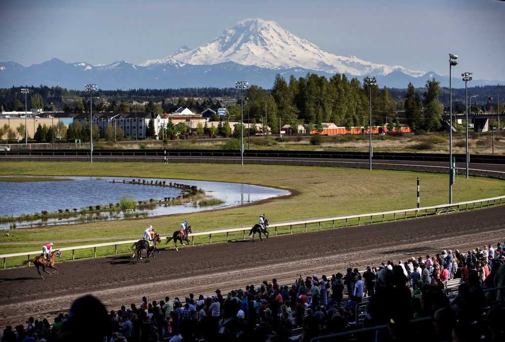 Mt. Rainier is out in all its glory as the crowd cheers at Emerald Downs on the opening day of the 2015 racing season April 16, 2015. (Dean Rutz / The Seattle Times)