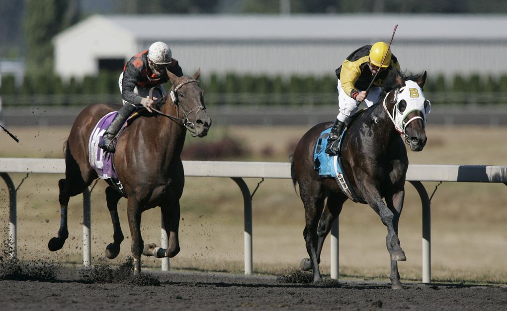 No Giveaway, left, comes from behind to defeat Quiet Cash and 10 other entries in the 70th running of the Longacres Mile on Aug. 21, 2005, at Emerald Downs. (Rod Mar / The Seattle Times)