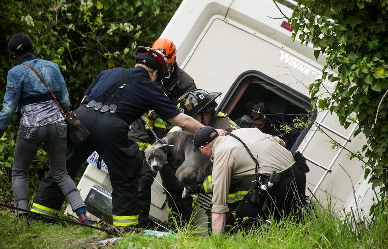 Dog freed from RV hanging over Mount Baker hillside The Seattle Times(01)
