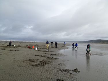 Oregon Coast clam digging: Low tide to create good conditions