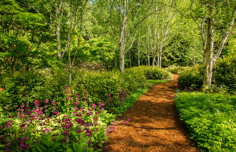 Bloedel Reserve on Bainbridge Island is the perfect place for a healing ...