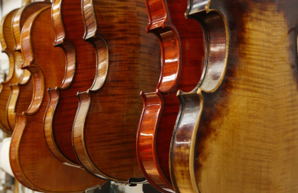 Violins in the workshop of Rafael Carrabba, a local restorer of rare and valuable instruments. (Ken Lambert/The Seattle Times)