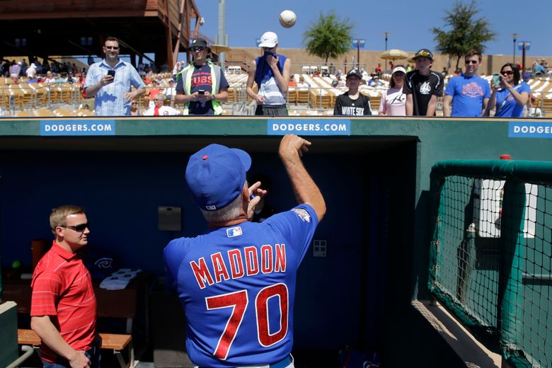 Favorite Baseball Buddy Cubs Dad shirt