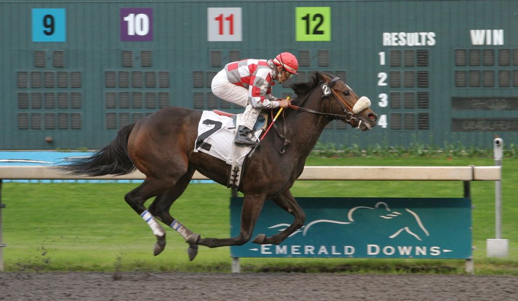 Ema Bovary, with jockey Roberto Gonzales aboard, wins the Washington State Legislators Stakes at Emerald Downs on May 25, 2003. (Photo courtesy Emerald Downs)