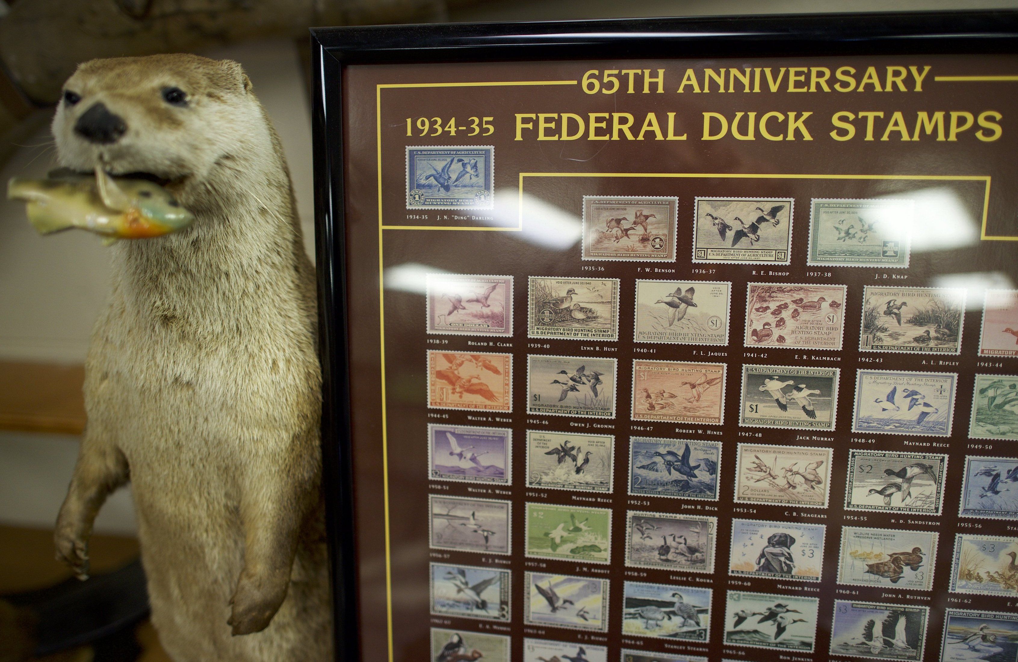 A flock of opposition to change in duck stamp The Seattle Times