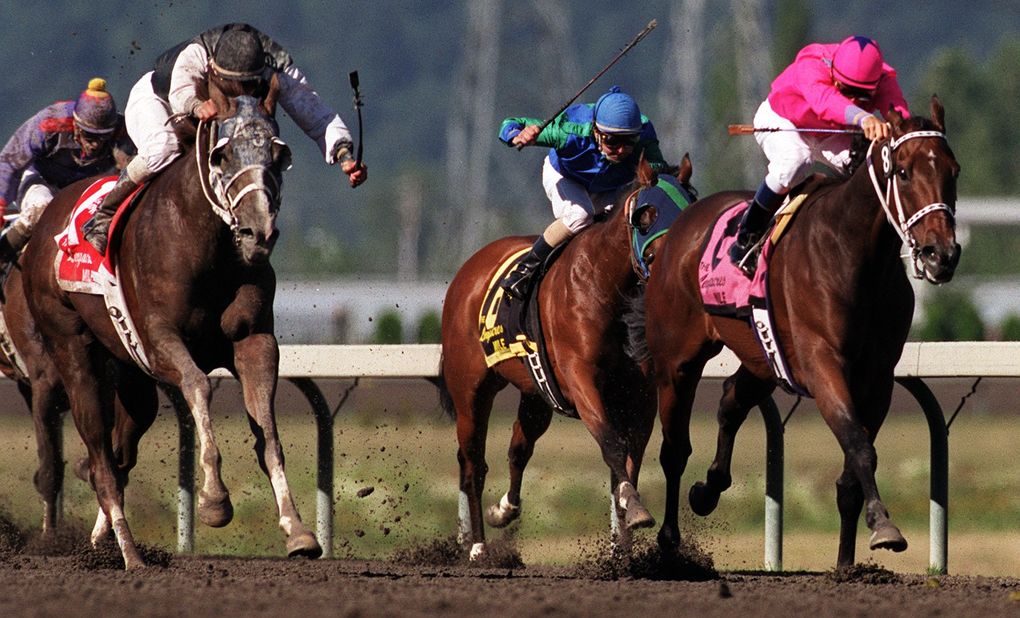Budroyale, ridden by Garrett Gomez, leads the pack on the homestrech of the Longacres Mile on Aug. 22, 1999. (Mike Barkin/The Seattle Times)