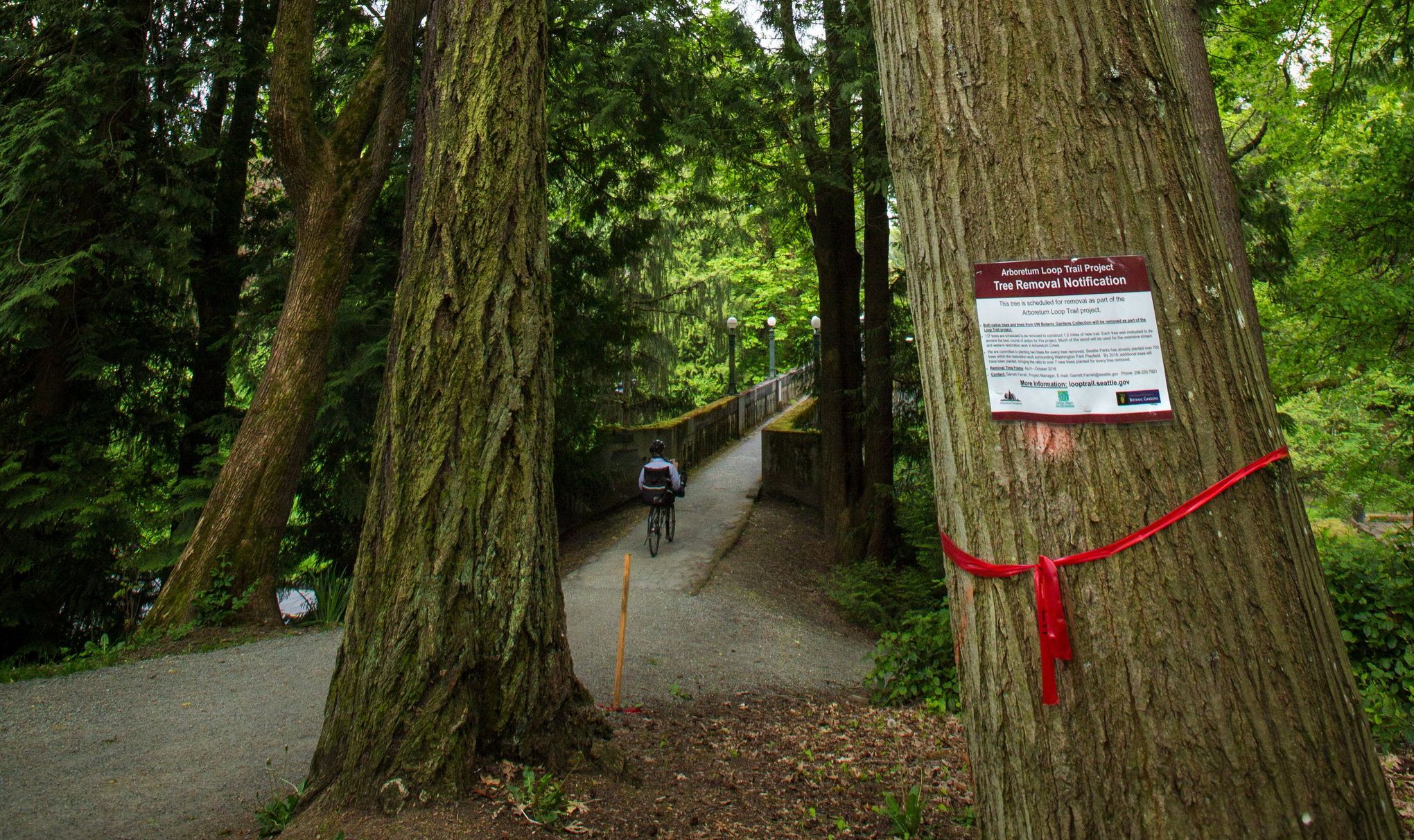 Follow Major Changes Proposed for Visiting Mount Rainier — Washington  Trails Association