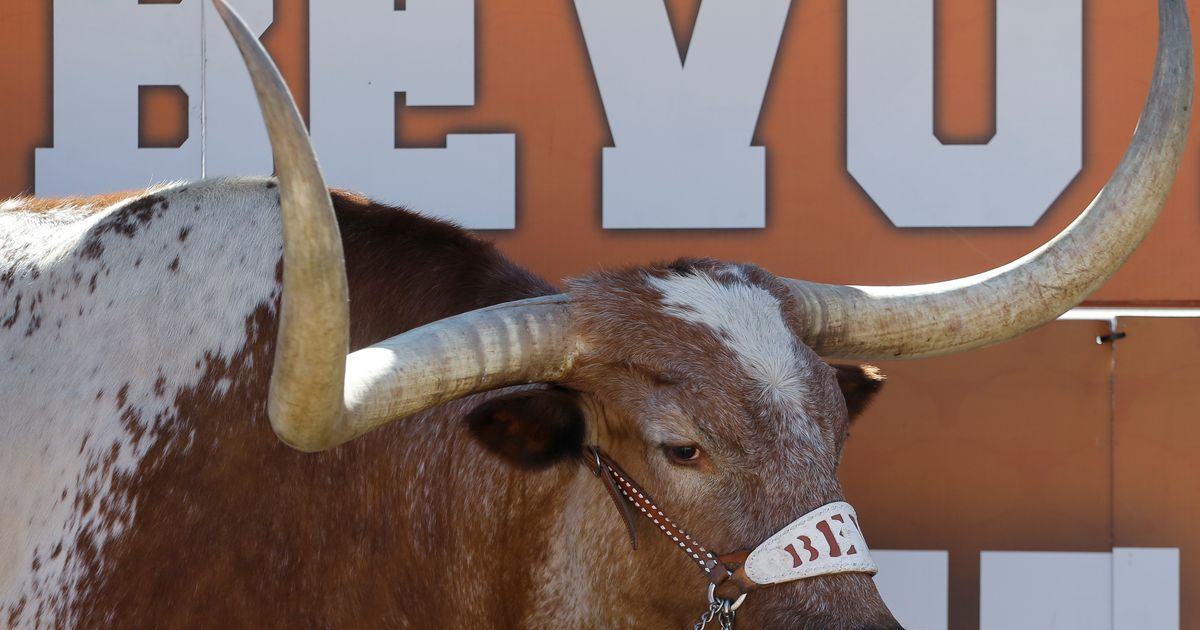 New Bevo, ill Mike remind us how attached we are to mascots | The ...