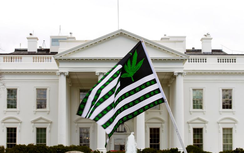 FILE – In this April 2, 2016 file photo, a demonstrator waves a flag with marijuana leaves on it during a protest calling for the legalization of marijuana, outside of the White House in Washington. Six states that allow marijuana use have legal tests for driving while impaired by the drug that have no scientific basis, according to a study by the nation’s largest automobile club that calls for scrapping those laws. ( AP Photo/Jose Luis Magana, File)