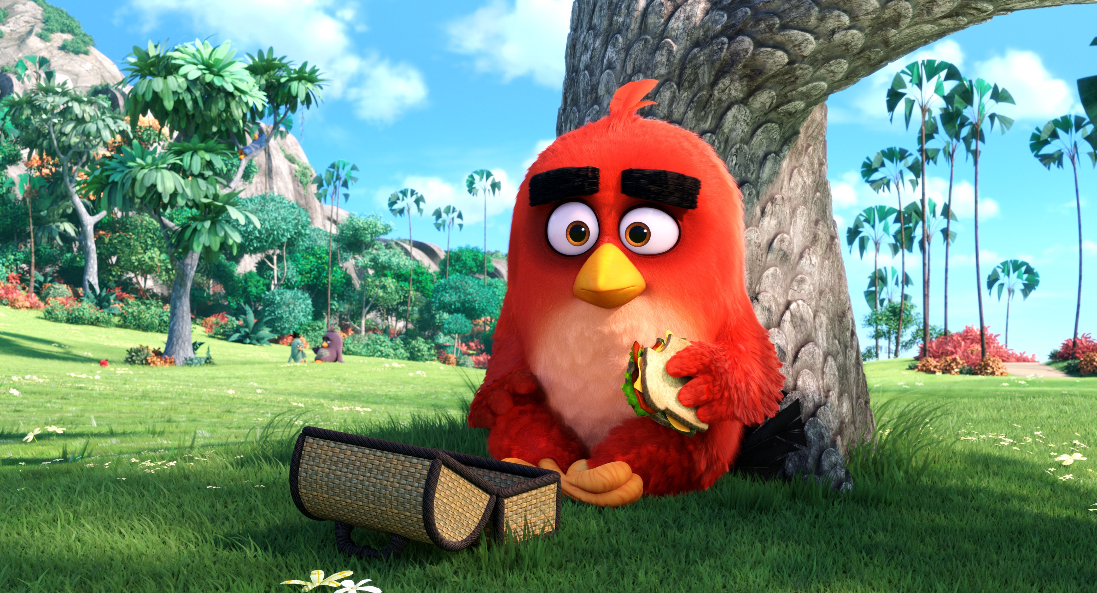 What Are The Angry Bird Names? Popular List (2023 Updated)