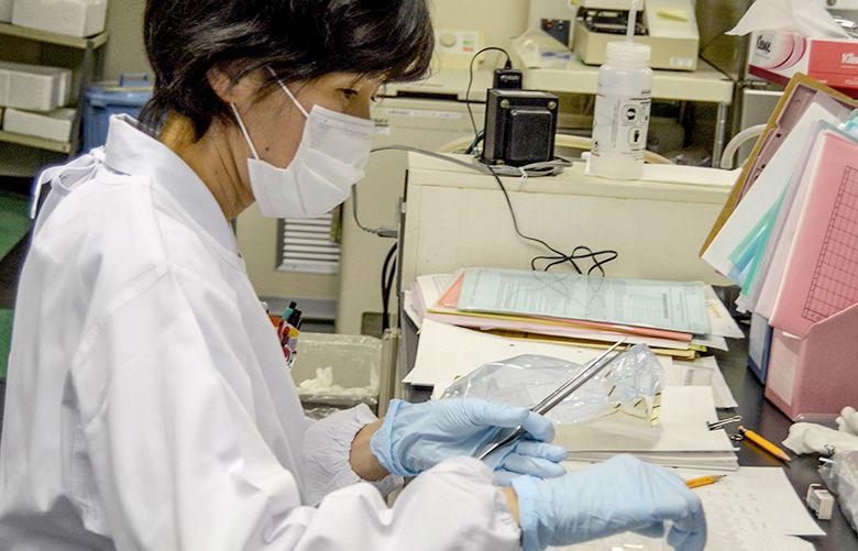 A Japanese researcher works in a lab at the Radiation Effects Research Foundation in Hiroshima, Japan, on May 24, 2016. (Julie Makinen/Los Angeles Times/TNS) 1185277