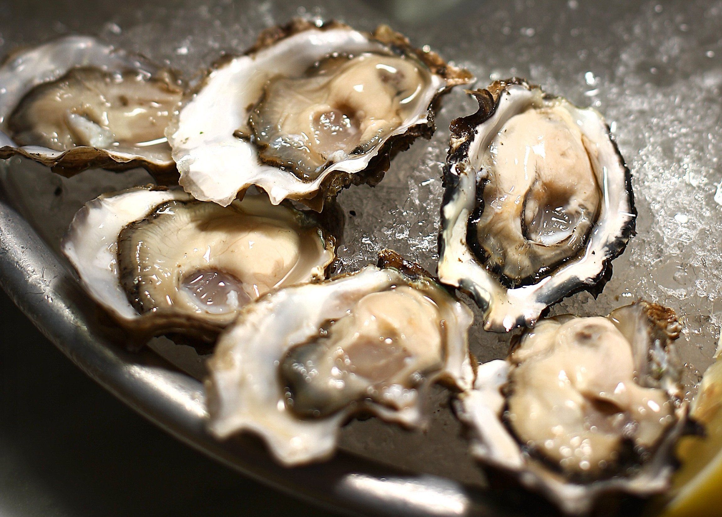 best oysters in seattle