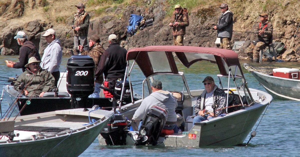 Columbia River regional fishing report shows spring chinook action slowed  in Wind and Drano Lake, but still decent in Cowlitz