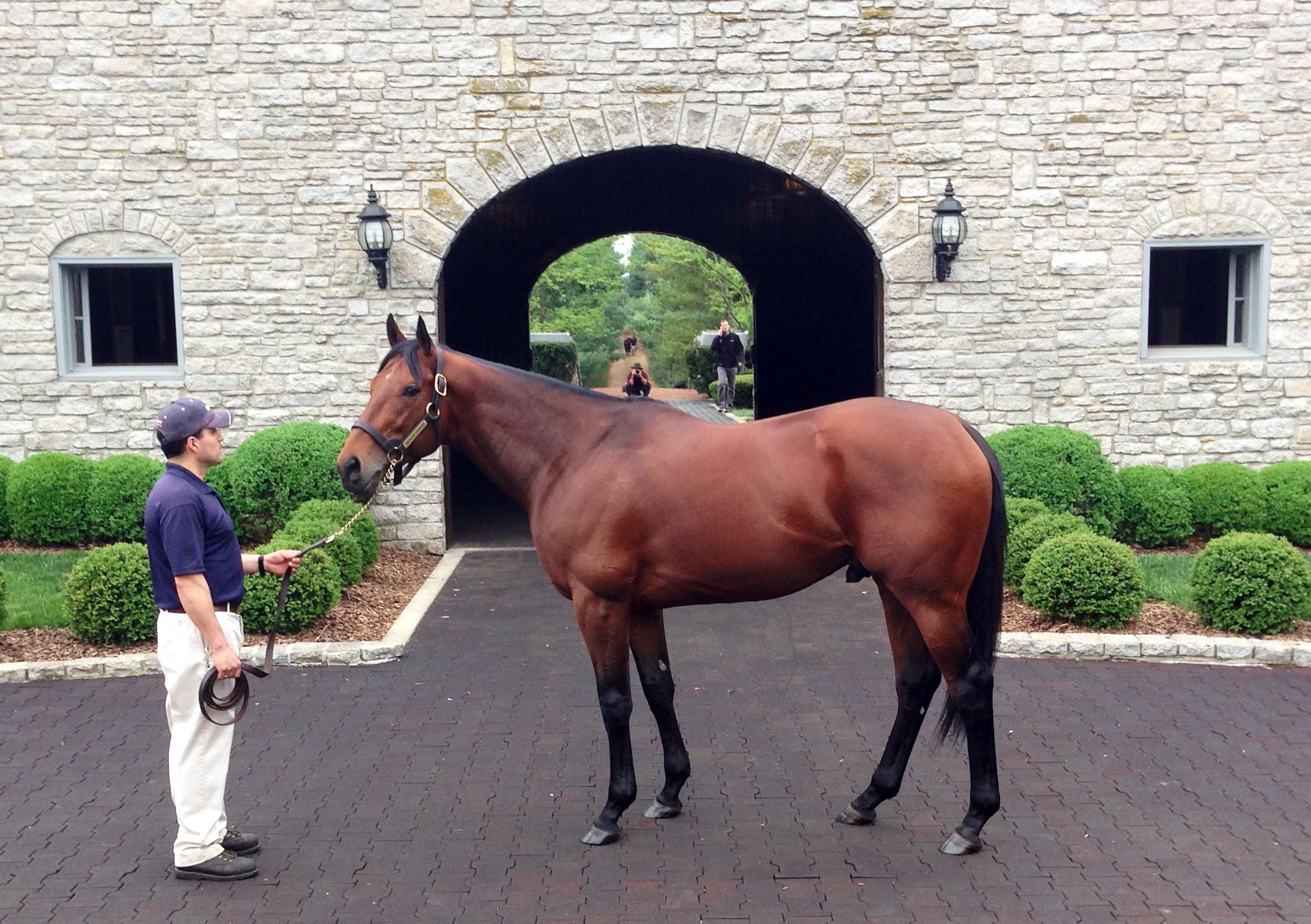 Triple Crown winner thriving in new home at Ashford Stud | The