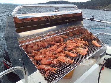 Spot Shrimp Re-Opening June 2 in Marine Areas 8-1, 8-2, and 9
