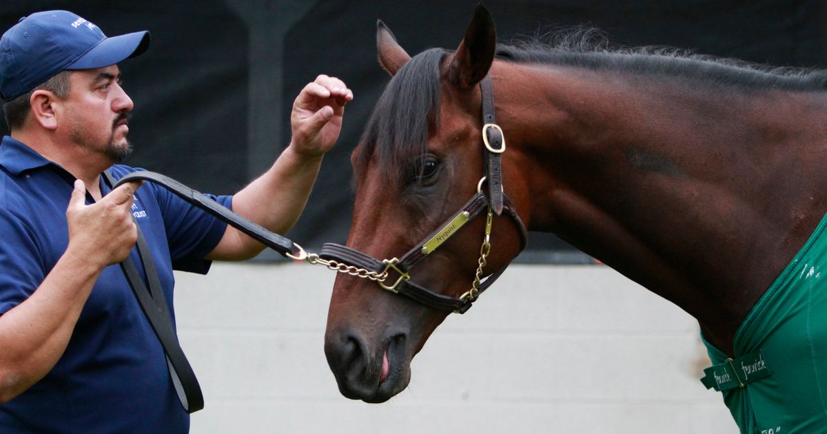 He’s here! Kentucky Derby champ Nyquist arrives at Pimlico | The ...