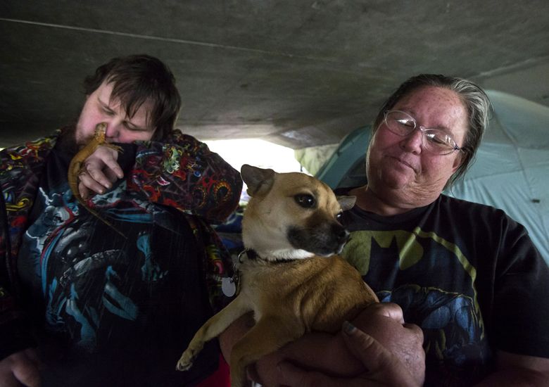 780px x 550px - Inside the grim world of The Jungle: The Caves, sleeping in shifts and  eyeball-eating rats | The Seattle Times