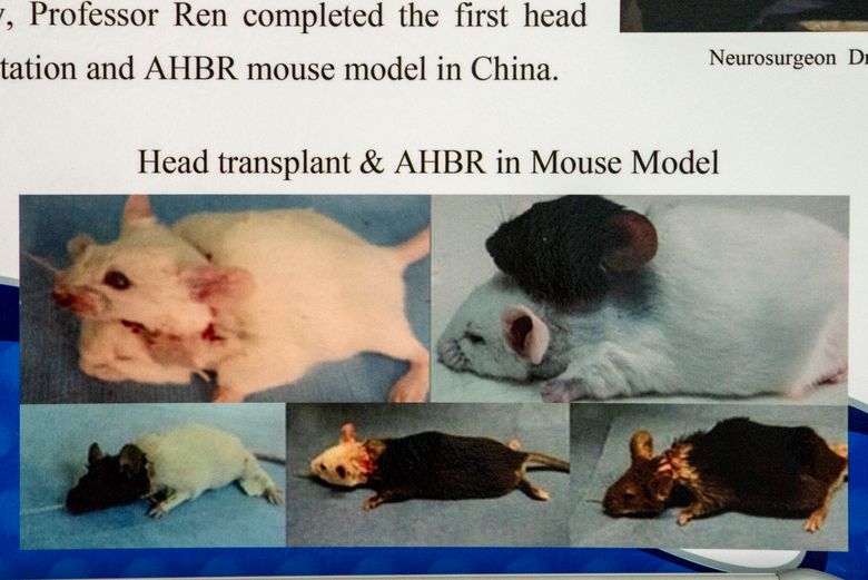 Scientists complete head transplant on a RAT in China