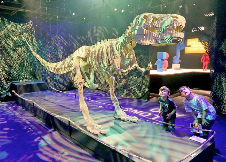 the art of the brick science center