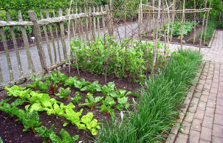 You can still plant a productive vegetable garden, if you get moving ...