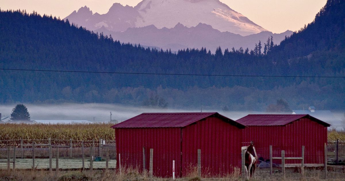 Home prices rising faster in Washington than in any other state The