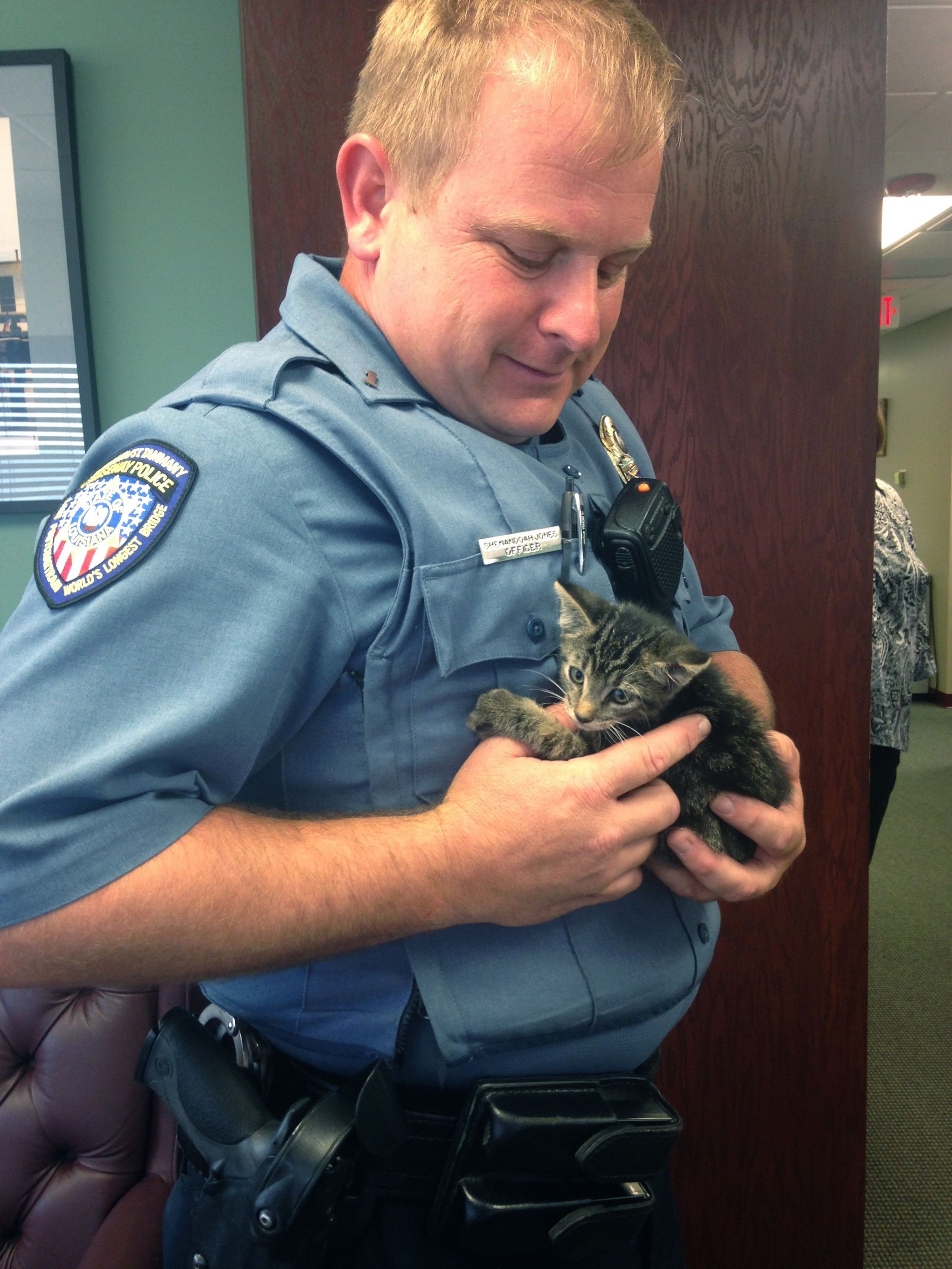 Police officer adopts kitten rescued from car engine in New York