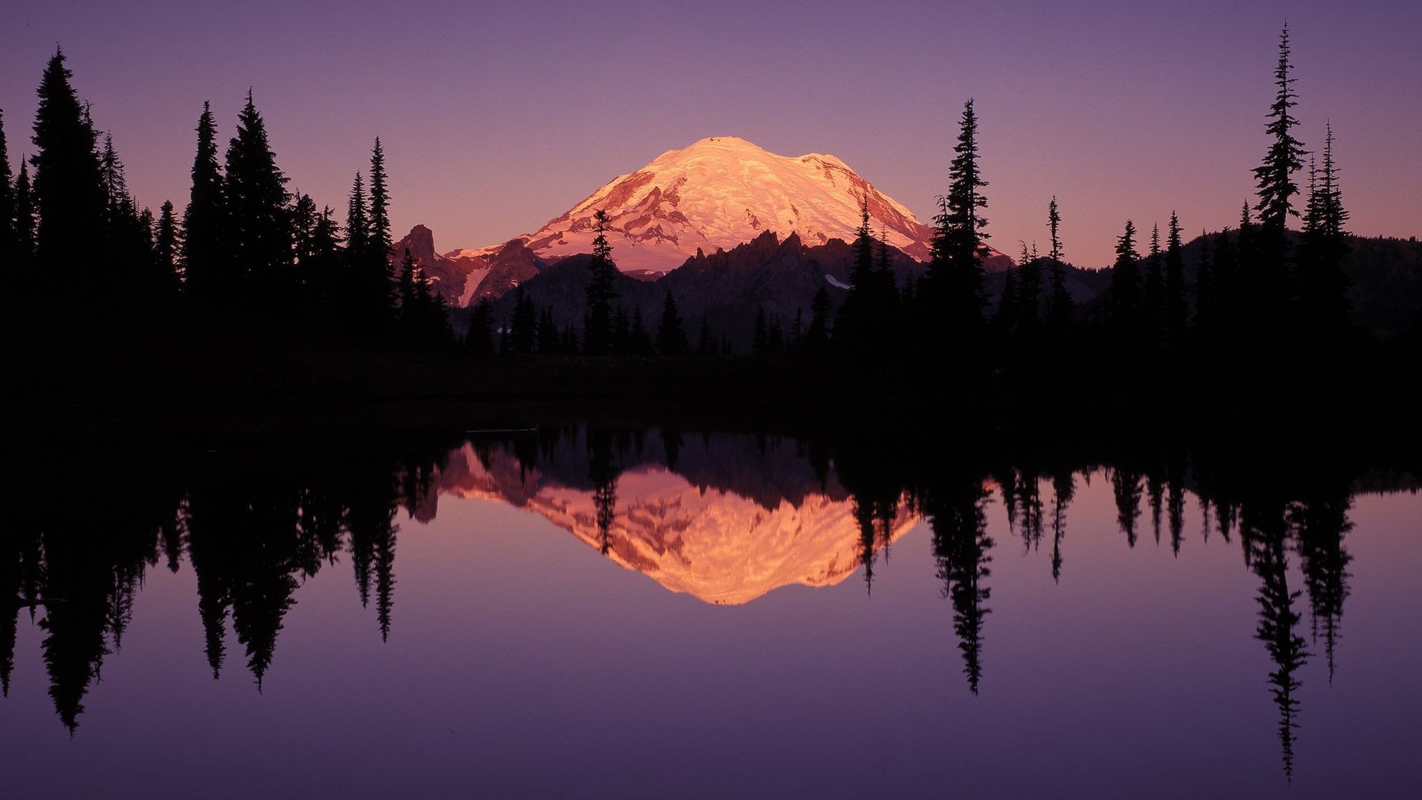 Huskies and Cougars Get Rainier Love