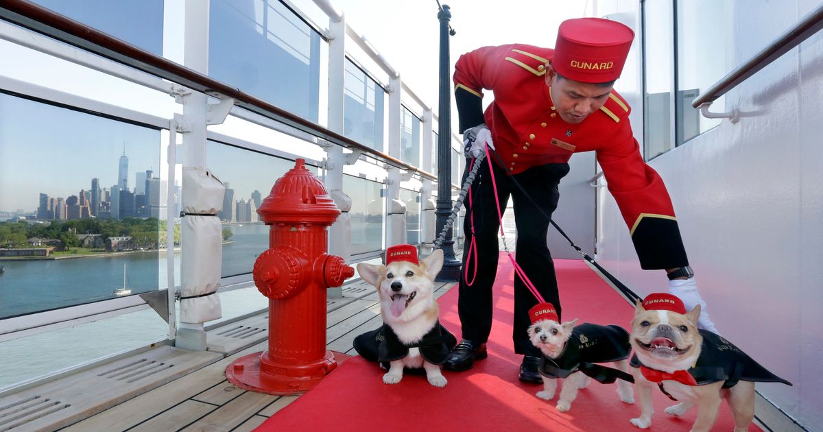 can dogs travel on queen mary 2