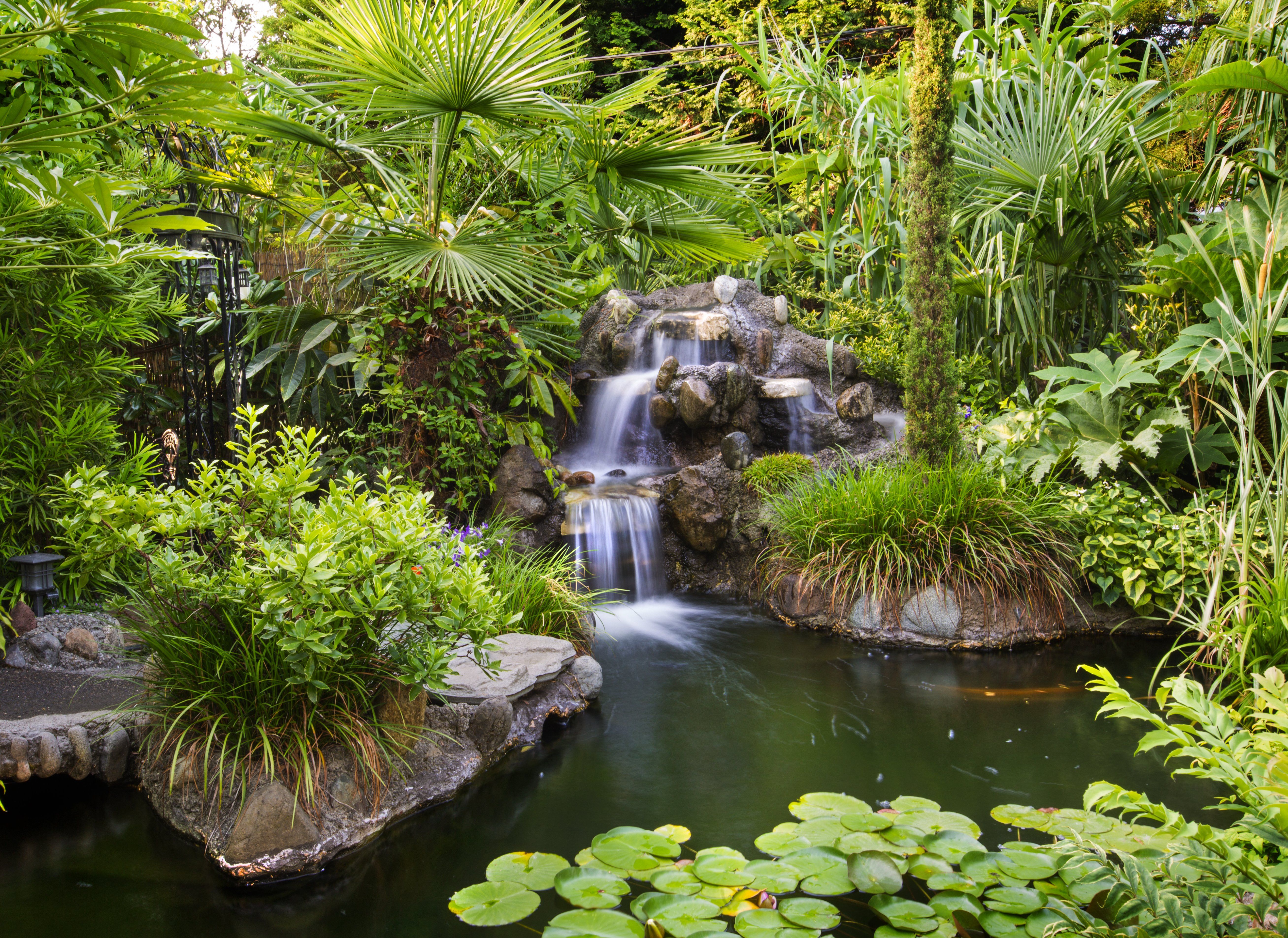 The mad propagationist' has created an obsession-worthy garden at