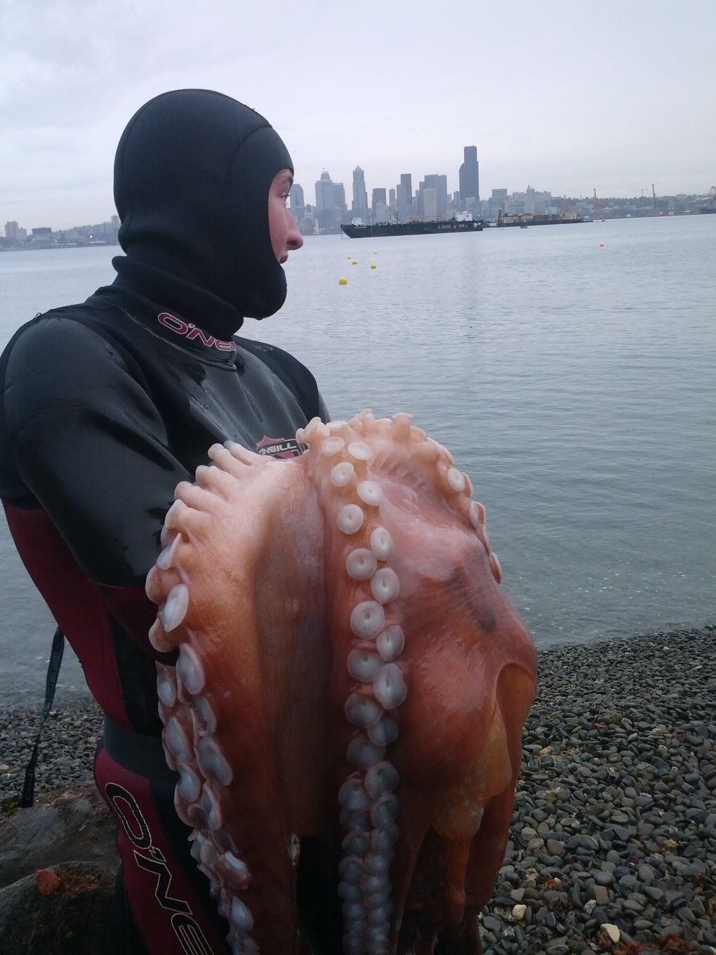 This photo of a diver with an octopus he hunted at Cove 2 in Alki sparked outrage and a movement to designate the diving area as a state Marine Protected Area. (Courtesy of Mark Saiget)