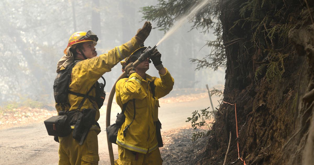 Bulldozer operator killed fighting California blaze | The Seattle Times