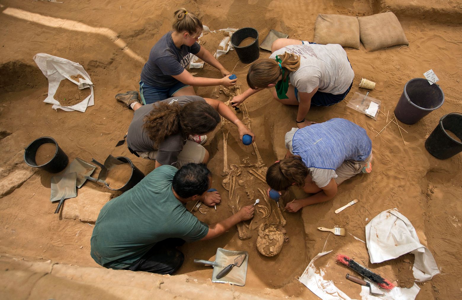 Science Journal dramatic Discovery in Israeli Excavation.