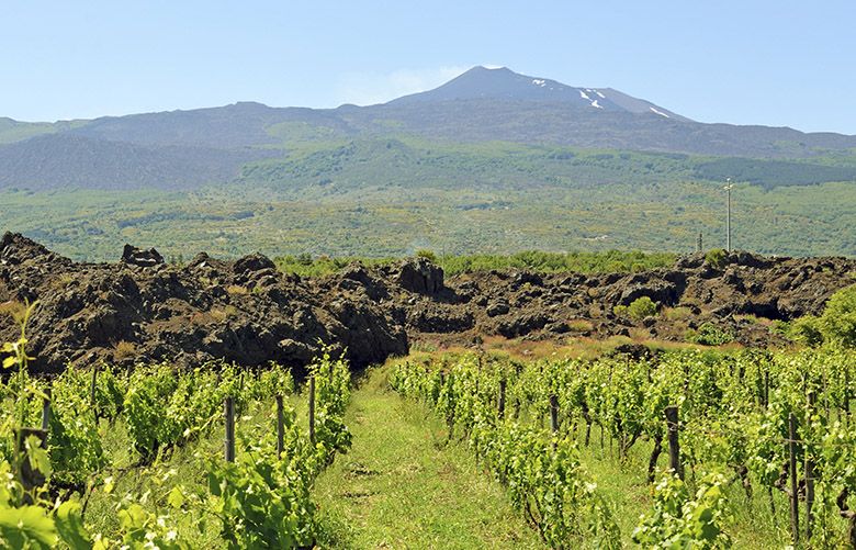 Lava from a past eruption of Mount Etna, top, forms the boundary of the Romeo del Castello vineyard in Randazzo, Italy, June 23, 2016. Though the existential threat of an active volcano is never far from mind, winemakers have long been drawn to the Sicilian regionâ€™s combination of distinctive, mineral-rich soil, high altitude and ancient vines. (Alfonso M. Cevola/The New York Times)  XNYT83